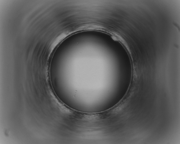 X0000103470997200809121624