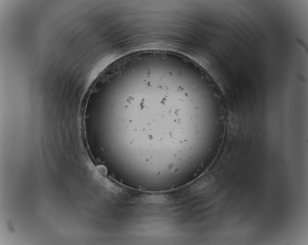 X0000103470998200809121624