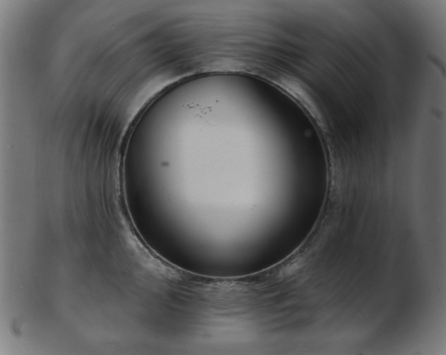 X0000103471000200809121624