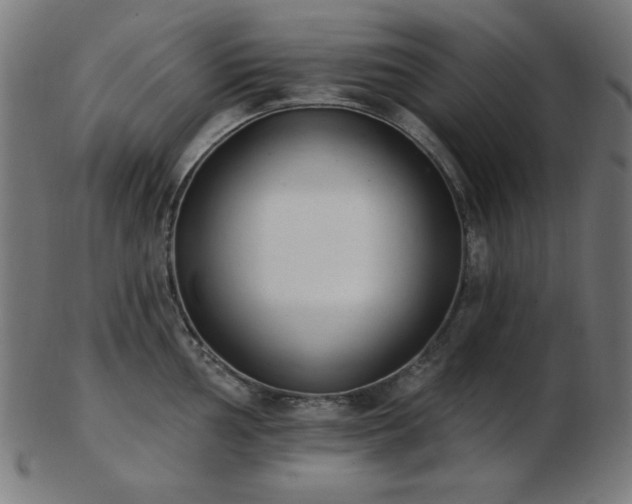 X0000103471002200809121624