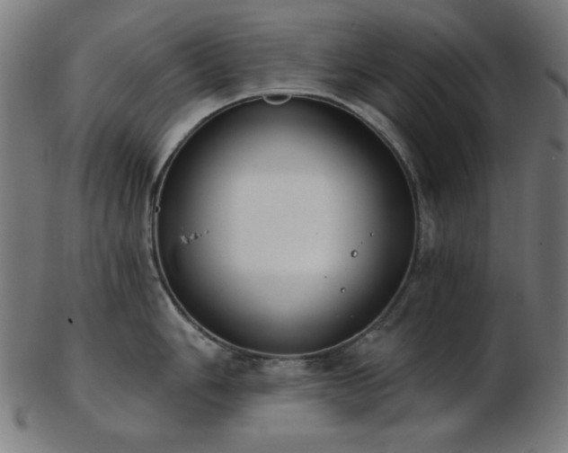 X0000103471006200809121624