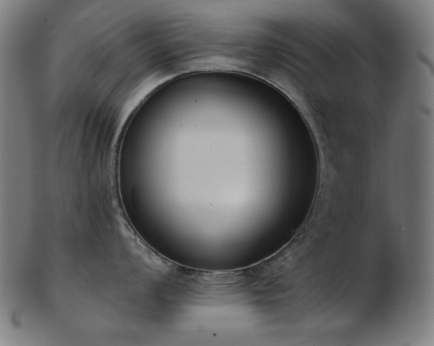 X0000103471008200809121624