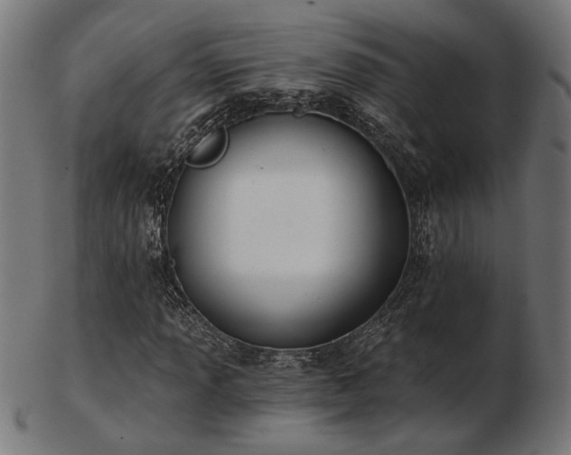 X0000103471013200809121623