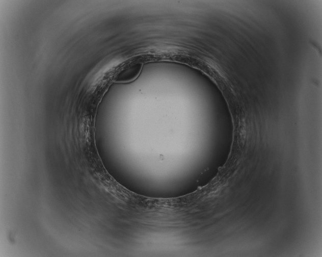 X0000103471016200809121623