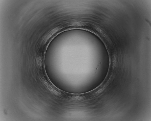 X0000103471017200809121623