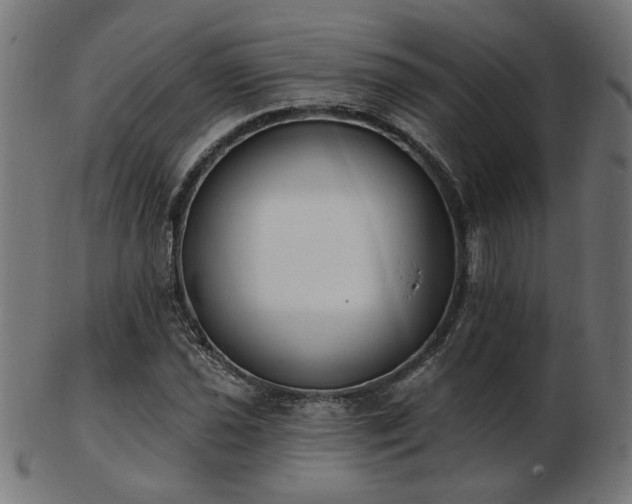 X0000103471021200809121623