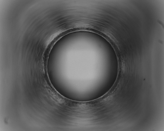 X0000103471022200809121623