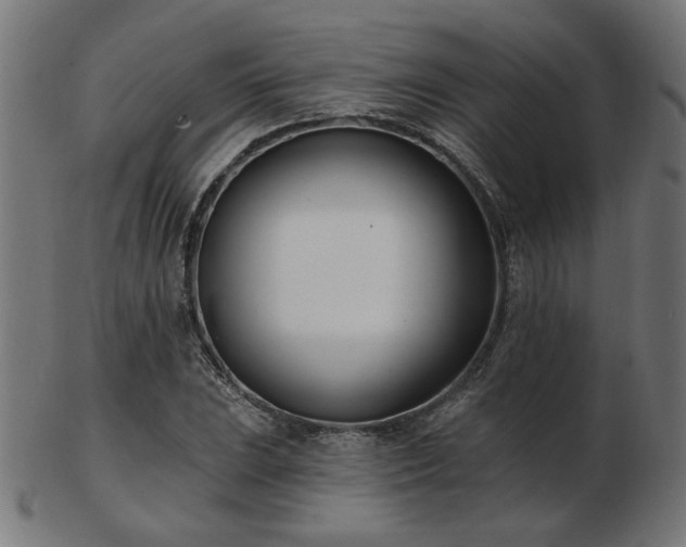 X0000103471023200809121623