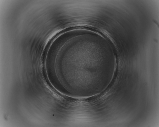 X0000103471024200809121623