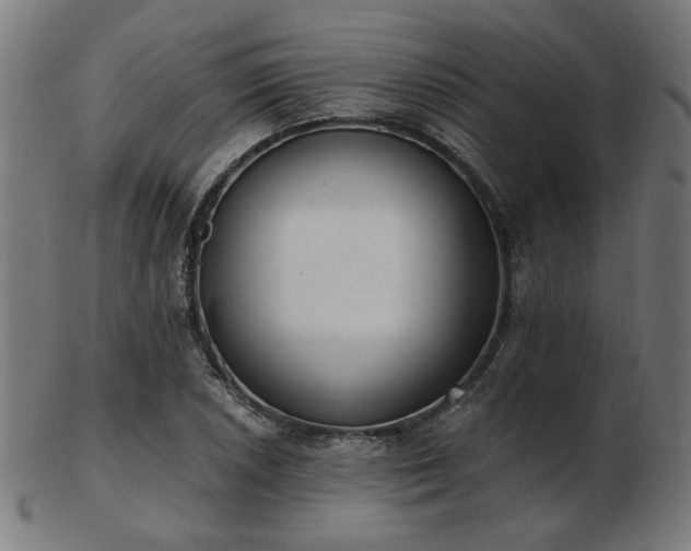 X0000103471026200809121623