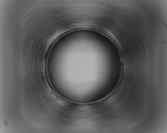 X0000103471035200809121623