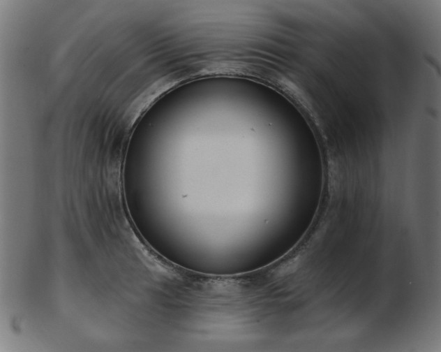 X0000103471041200809121624