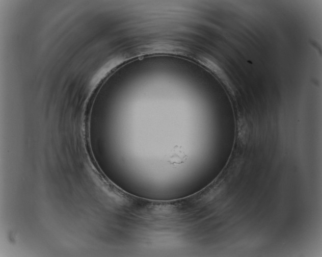 X0000103471043200809121624