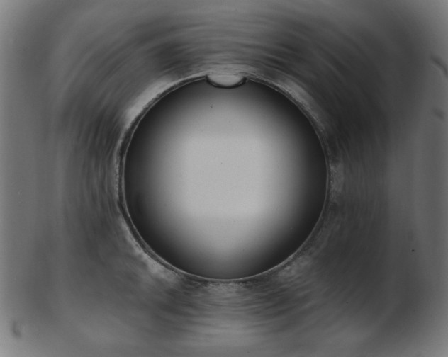 X0000103471046200809121624