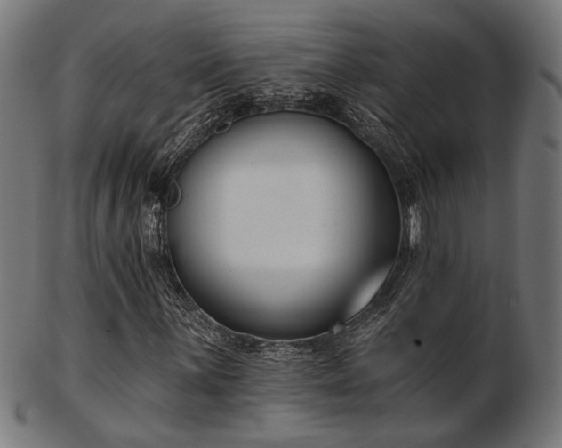 X0000103471059200809121623