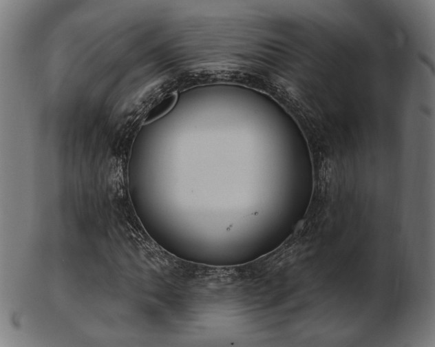 X0000103471062200809121623