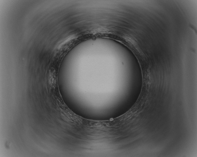 X0000103471063200809121623