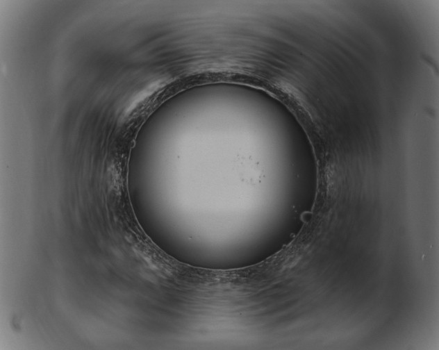 X0000103471064200809121623