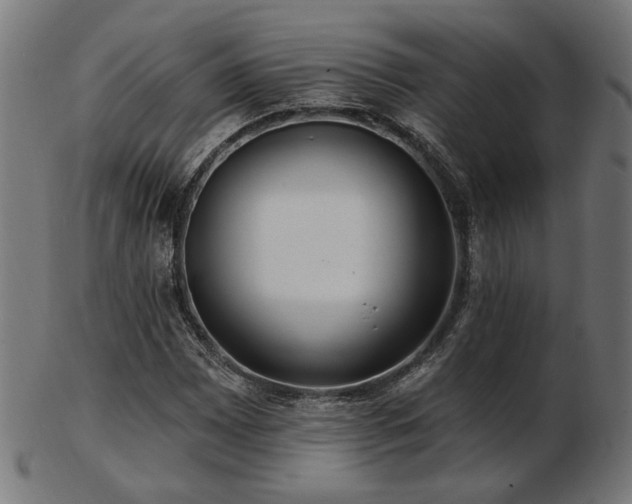 X0000103471065200809121623