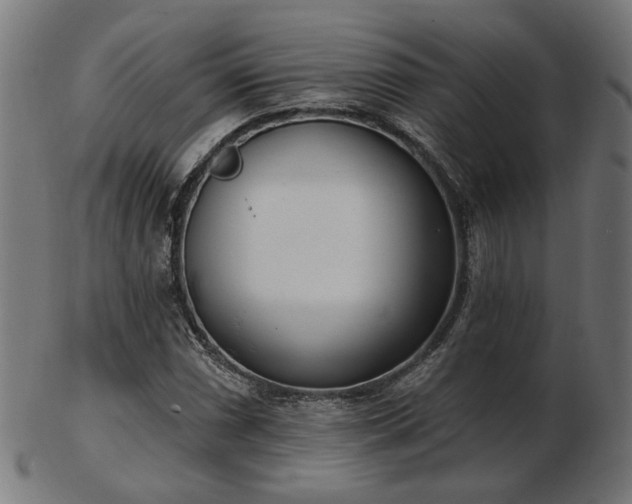 X0000103471066200809121623