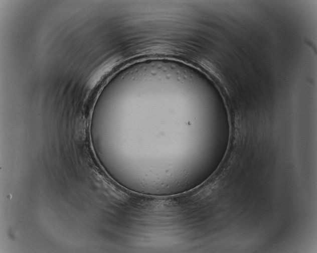 X0000103471067200809121623