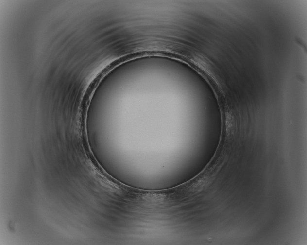 X0000103471068200809121623