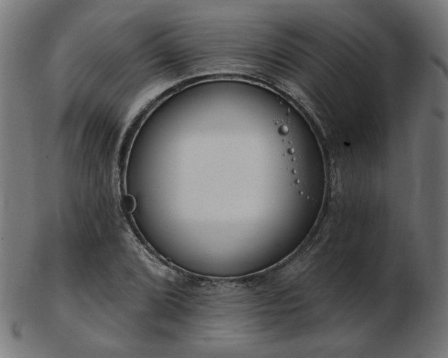 X0000103471072200809121623