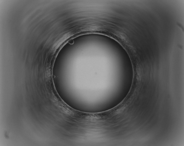 X0000103471073200809121623