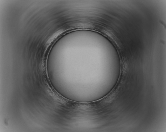 X0000103471074200809121623