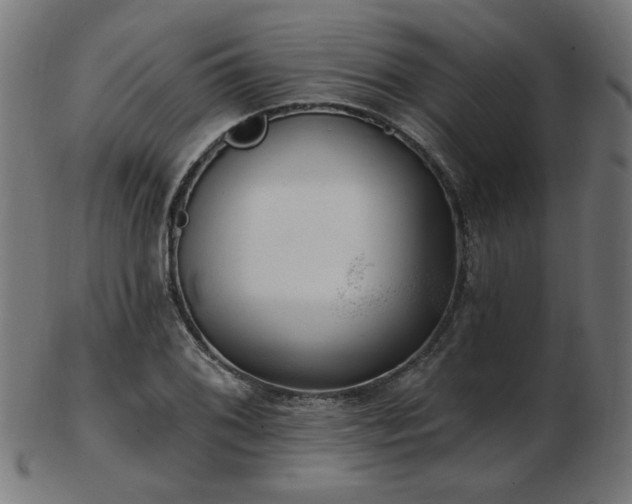 X0000103471076200809121623