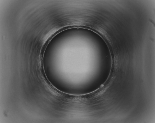 X0000103471077200809121623