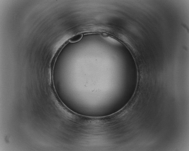 X0000103471079200809121623