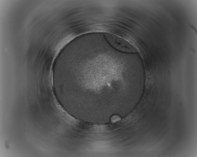 X0000103471080200809121623