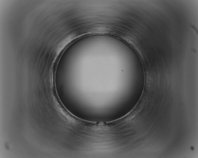 X0000103471083200809121623