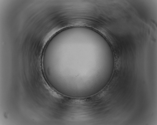 X0000103471086200809121622