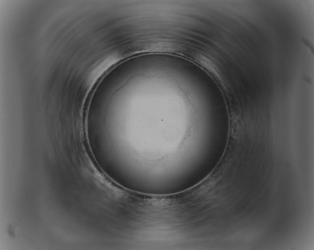 X0000103471087200809121622