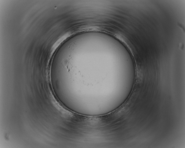 X0000103471090200809121622