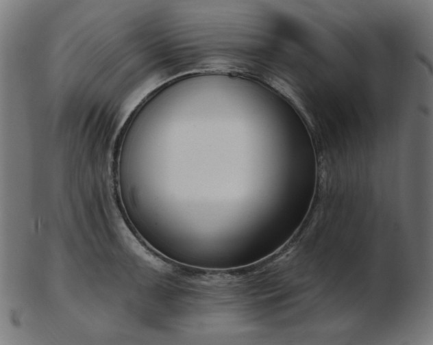 X0000103471091200809121622