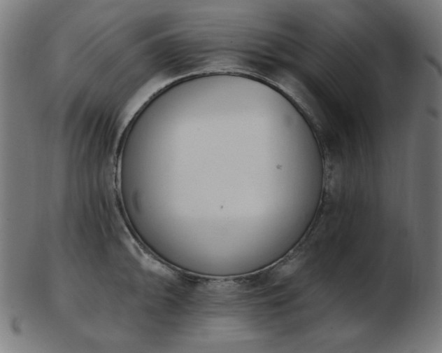 X0000103471094200809121622