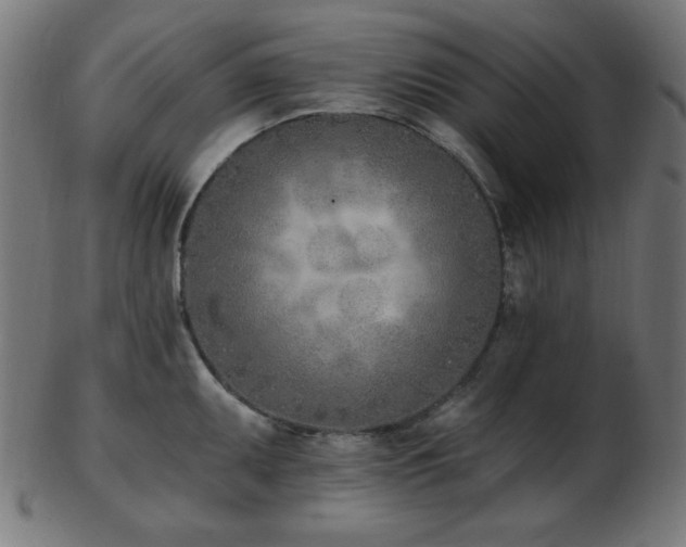 X0000103471095200809121622