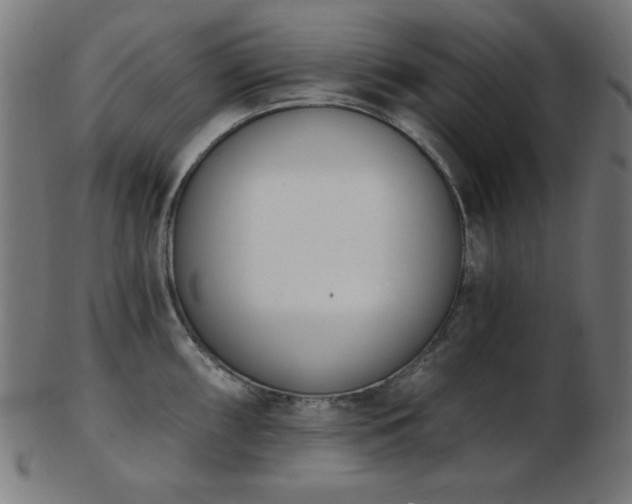 X0000103471098200809121622