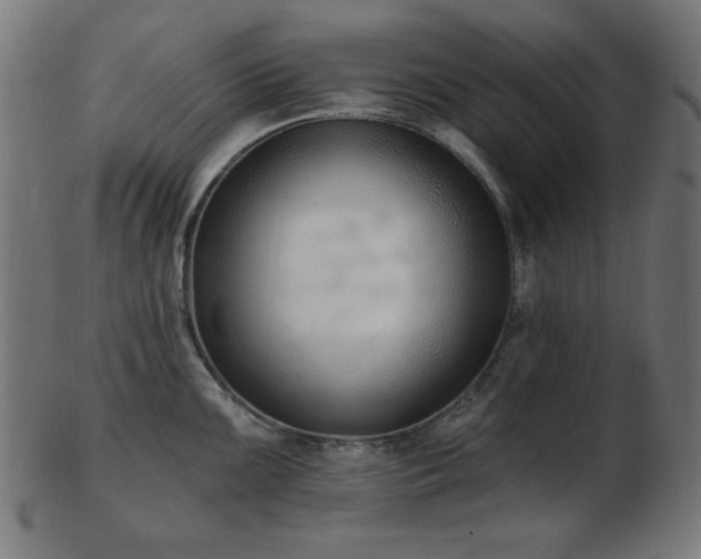 X0000103471099200809121622