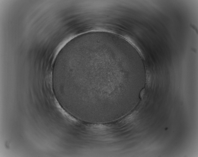 X0000103471100200809121622