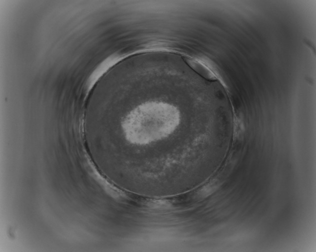 X0000103471101200809121622