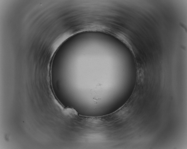 X0000103471103200809121622