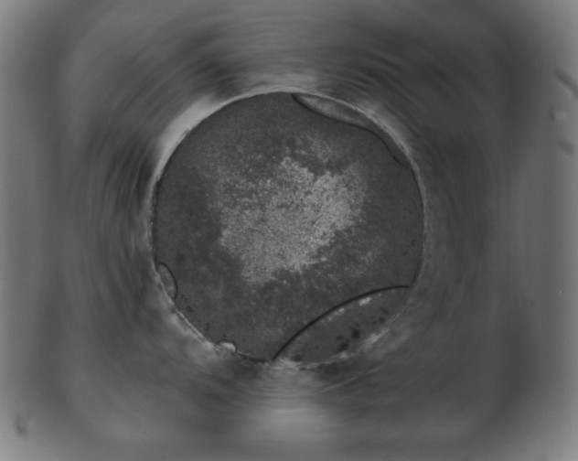 X0000103471104200809121622