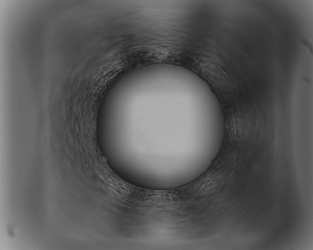 X0000103471105200809121622