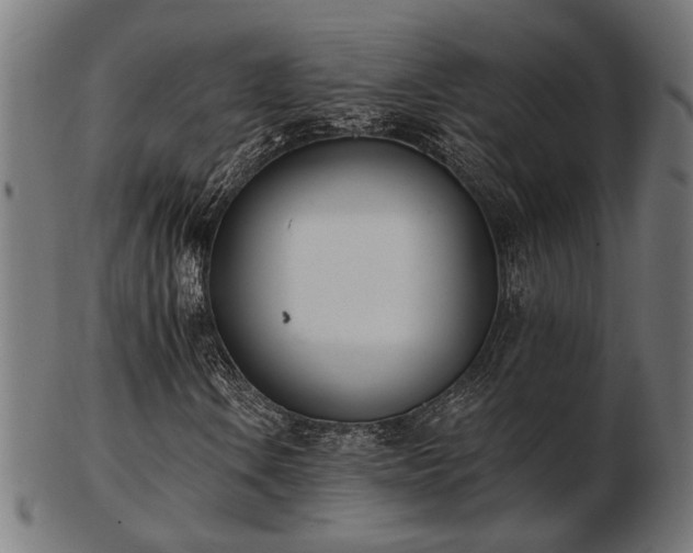 X0000103471106200809121622