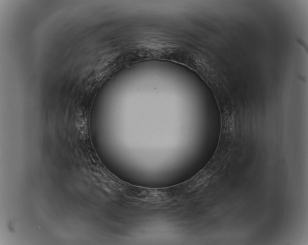 X0000103471109200809121622