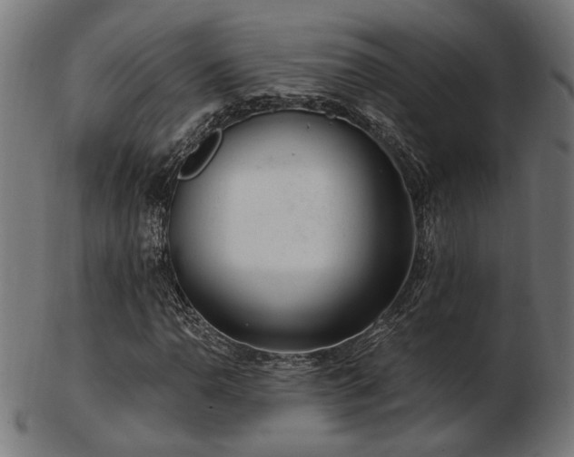 X0000103471110200809121622